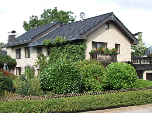 Image Image